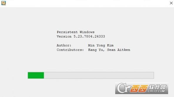 PersistentWindows,窗口.